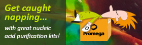 High yields, simple protocols, low price per prep..try Promega kits and relax!